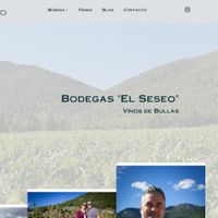 elseseo