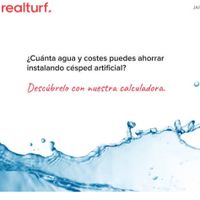 realturf